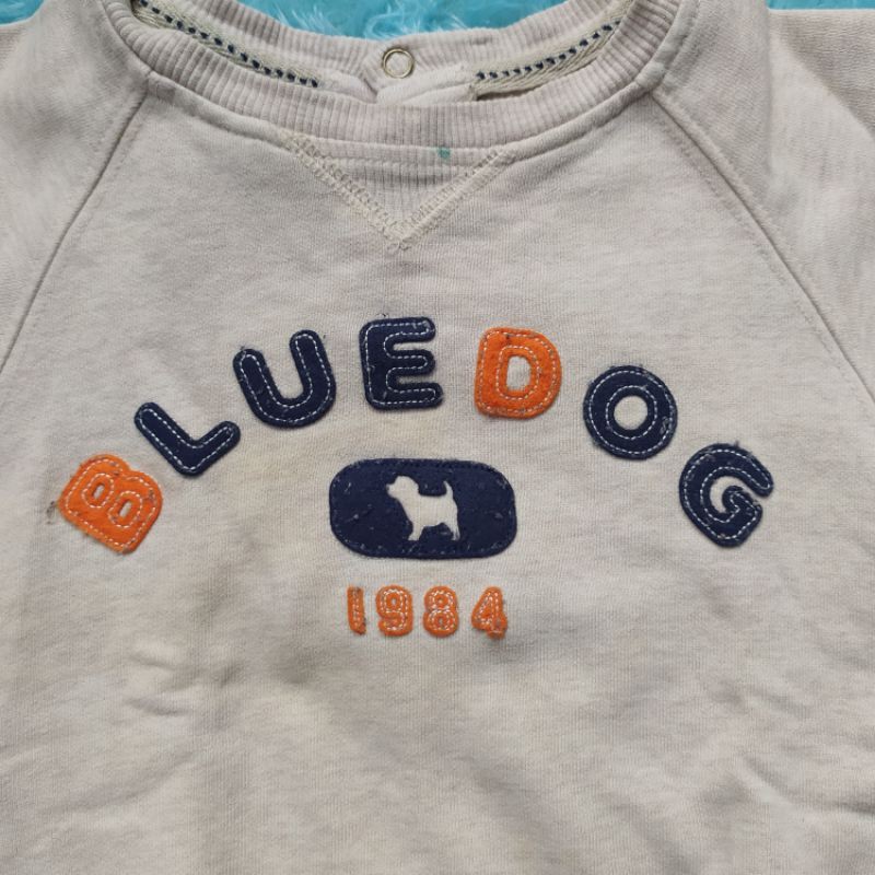 Blue 2024 dog brand