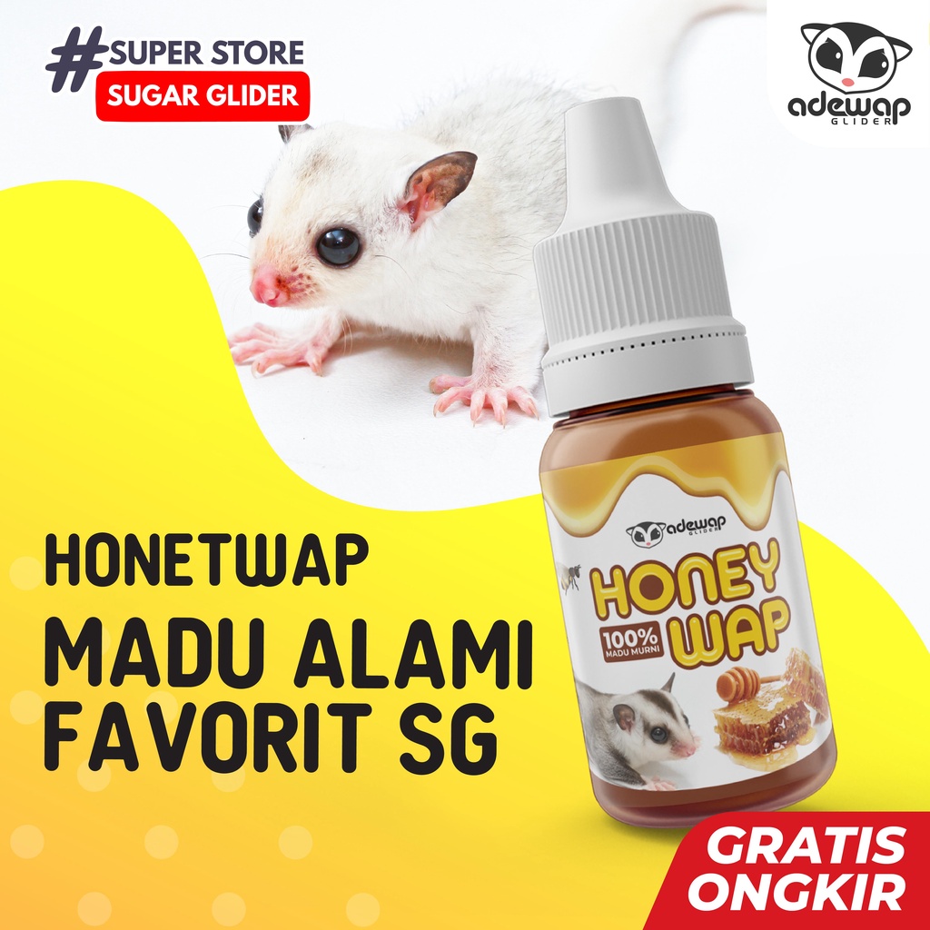 Sugar 2024 glider honey