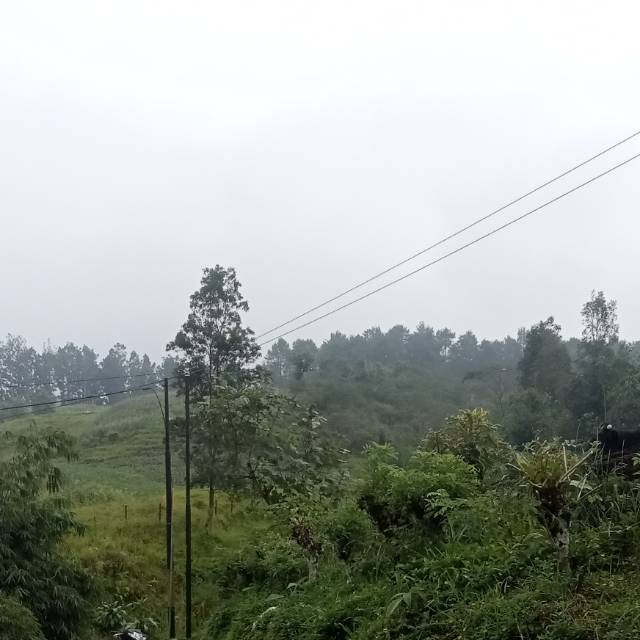 Produk siera@ | Shopee Indonesia