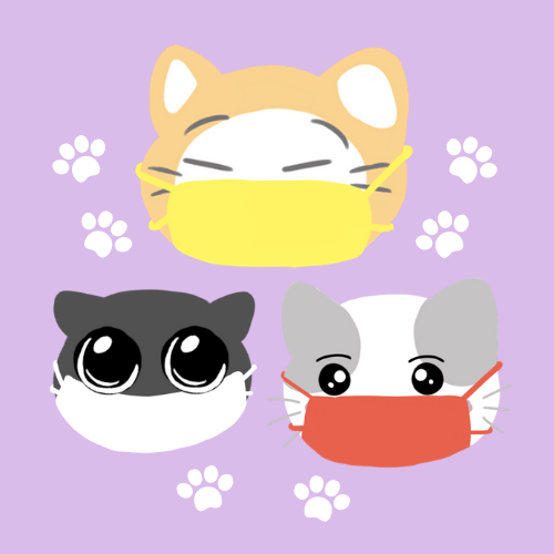 Produk Kucing Bertopeng | Shopee Indonesia