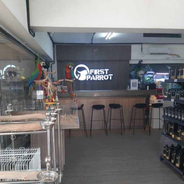 Produk First Parrot | Shopee Indonesia