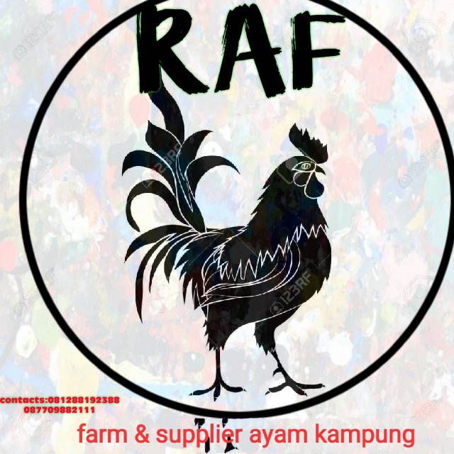 Produk Rian Arianto Farm (RAF) | Shopee Indonesia