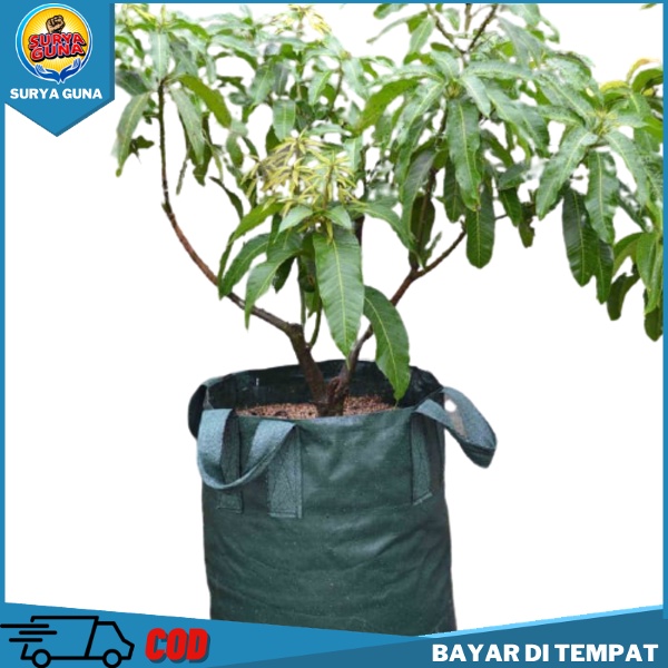 Planter Bag Tabulampot Planter Bag Durian 200 Liter Easy Grow