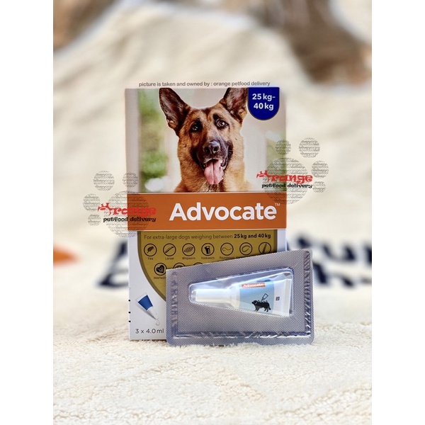 Advocate dog best sale extra large blue