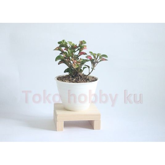 Produk Toko Hobby Ku | Shopee Indonesia