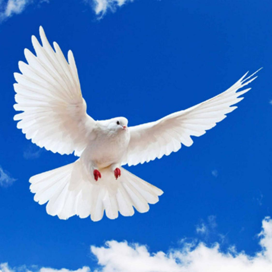 Produk GlobalVit | Shopee Indonesia