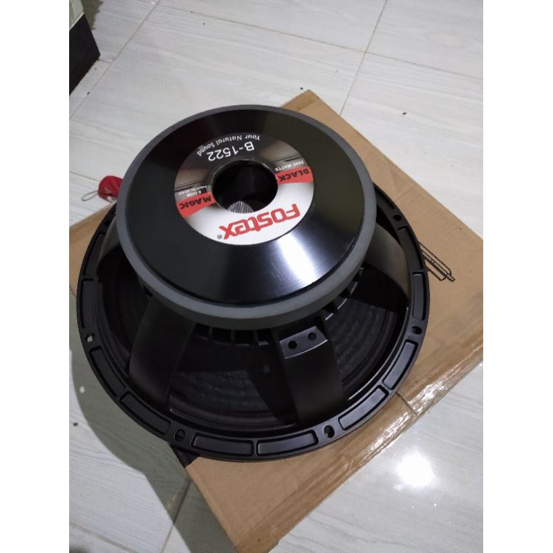 Fostex 15 best sale inch woofer