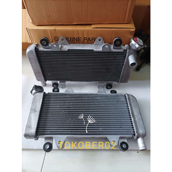 Kawasaki ninja 250 deals radiator