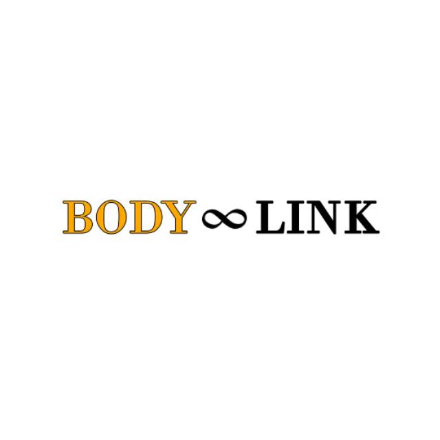 body link sweater ltd