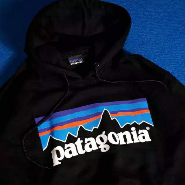 Hoodie patagonia sale original