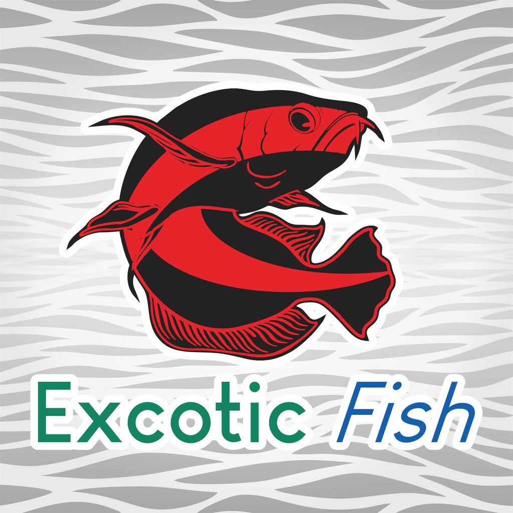 Produk eXcotic Fish | Shopee Indonesia
