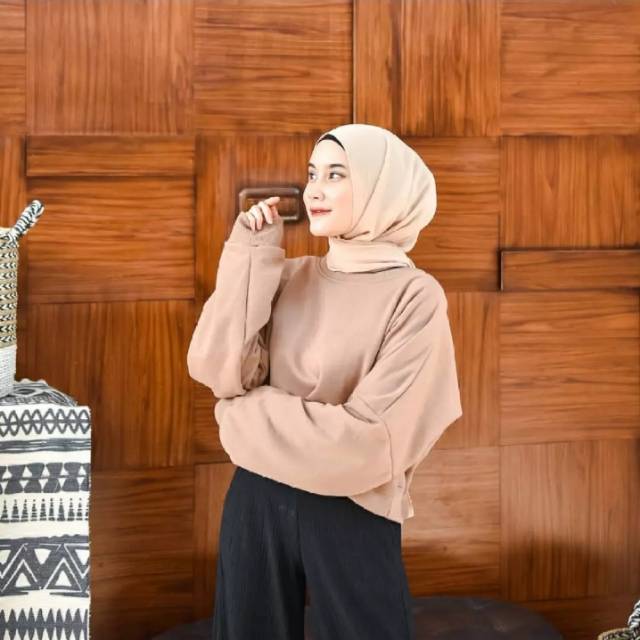 Sweater hoodie wanita online polos