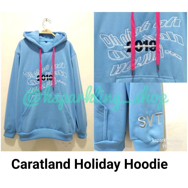 Seventeen on sale holiday hoodie