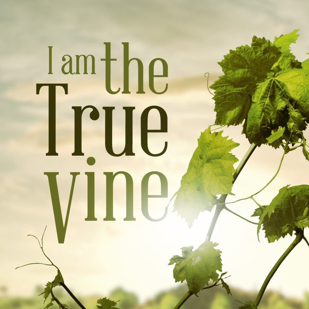 Life is worth. Truevine. True Vine. A Life Worth Living. Mike Seeger true Vine.