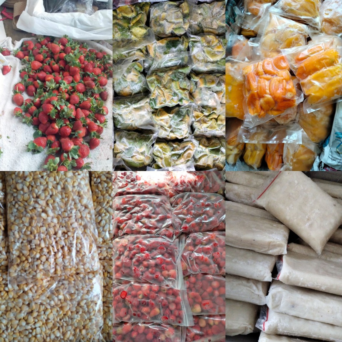 Produk DISTRIBUTOR BUAH FROZEN MALANG Shopee Indonesia