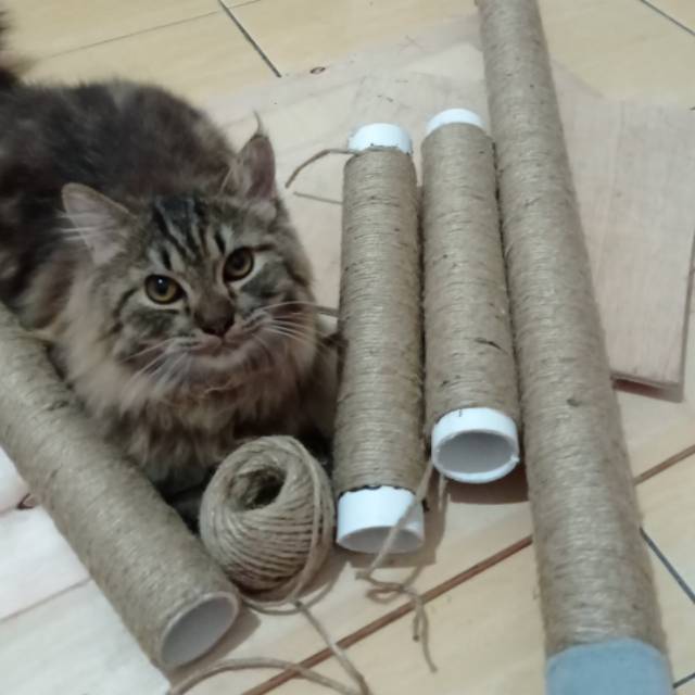 Produk Paunk_Ganteng | Shopee Indonesia