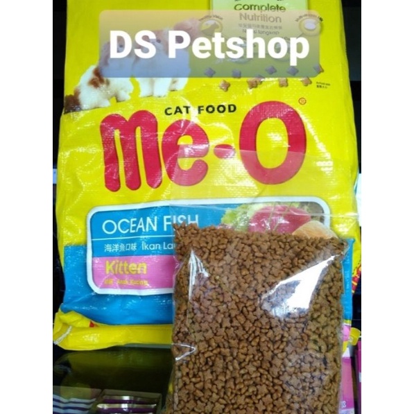 Meo ocean fish outlet kitten