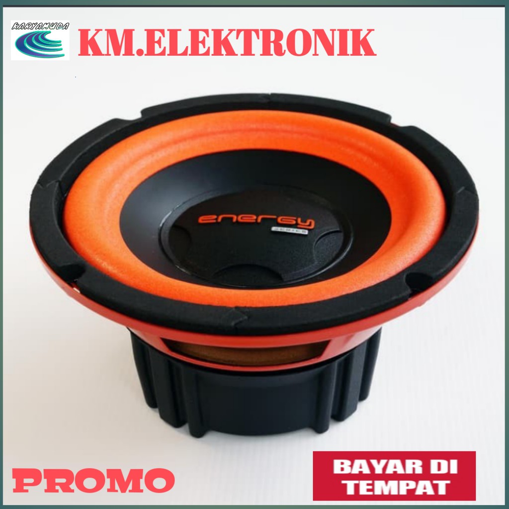 6 inch 100 watt 2024 subwoofer