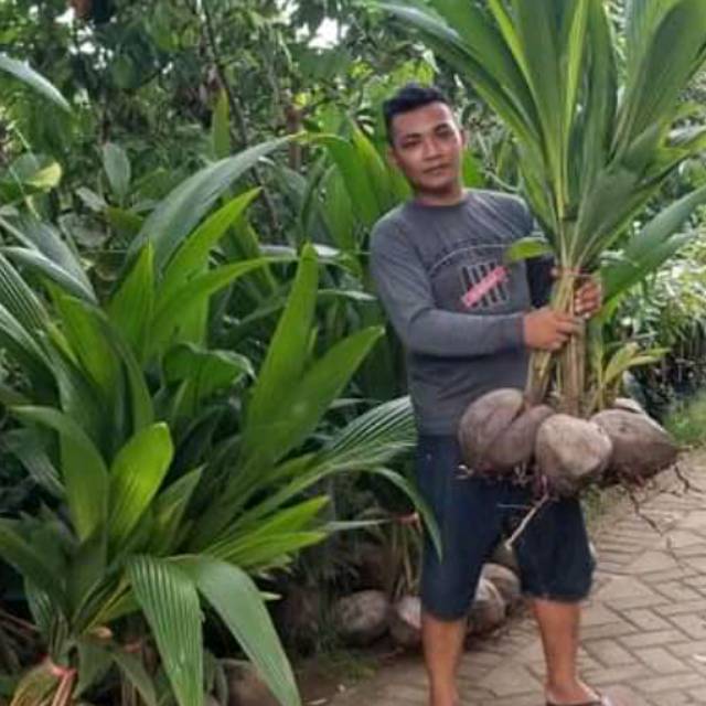 Produk AGRO.BIBIT.SUPER | Shopee Indonesia
