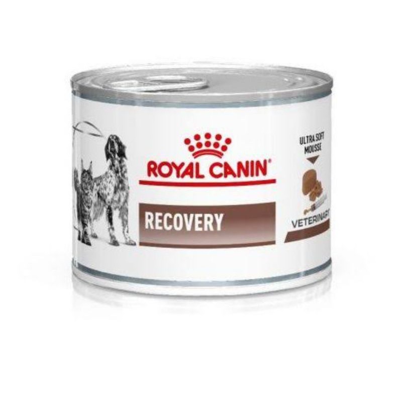 Royal canin recovery sales untuk kitten