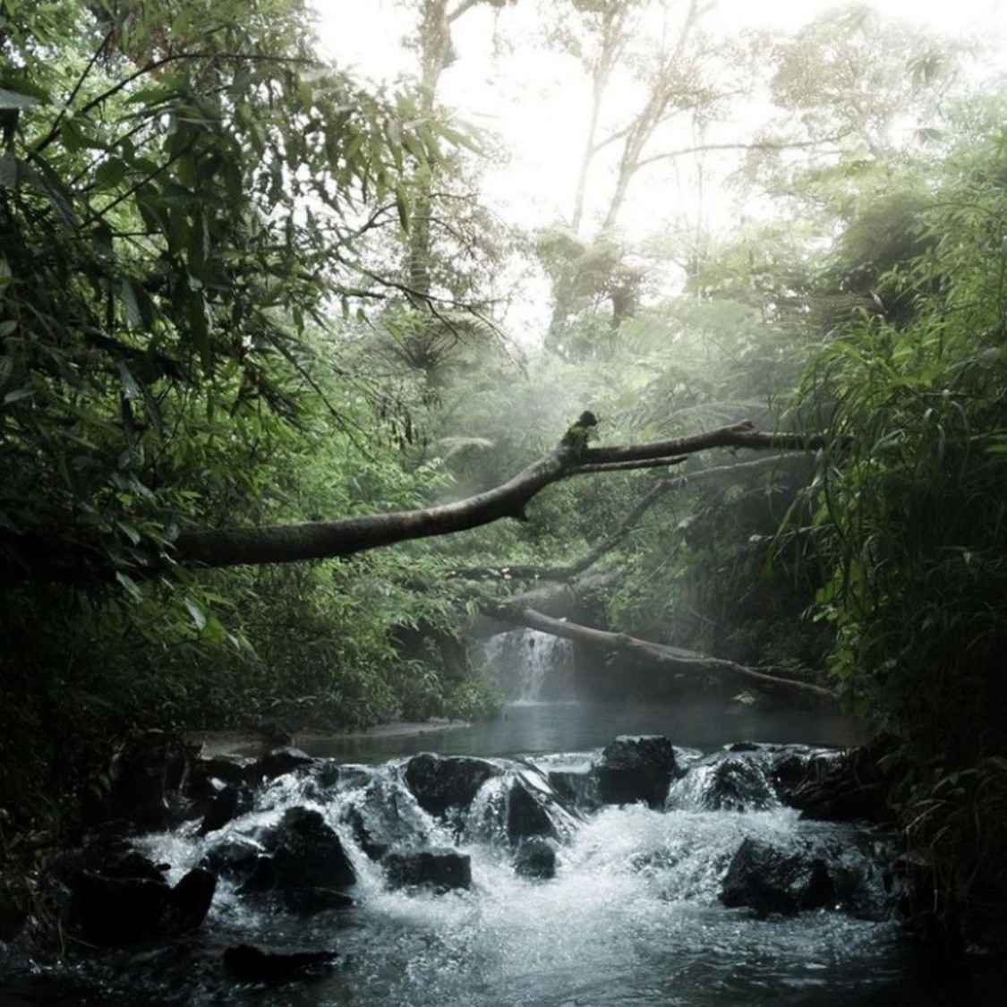 Produk Sierra maestra Shopee Indonesia