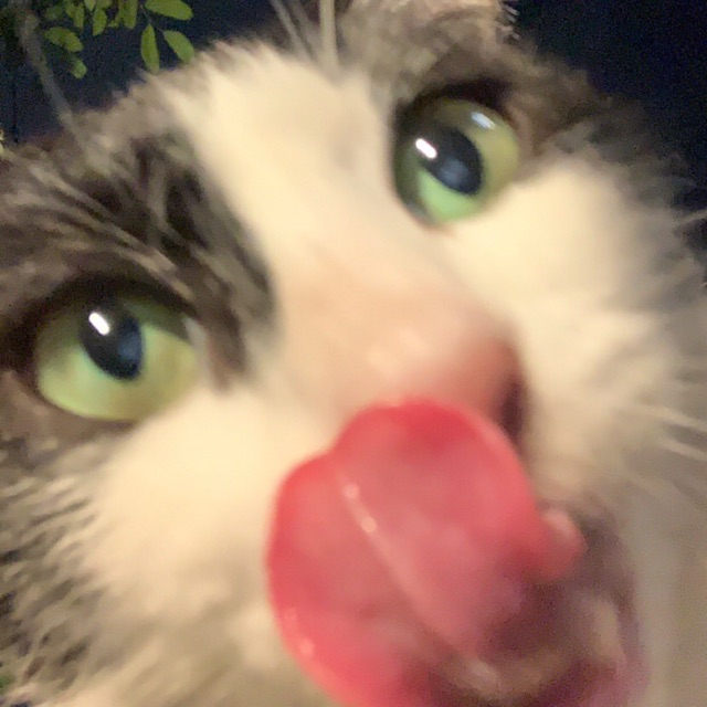 Produk 6fnh3t4rjt | Shopee Indonesia