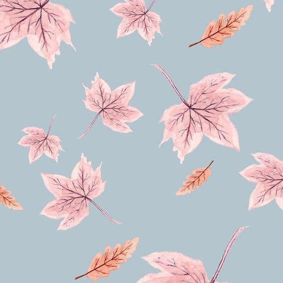 produk-cevimol-shopee-indonesia