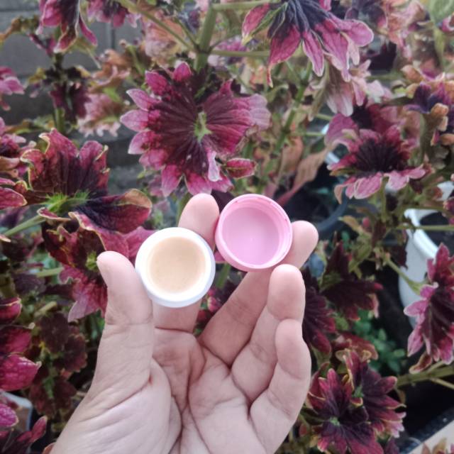 Produk NZ.Offical | Shopee Indonesia