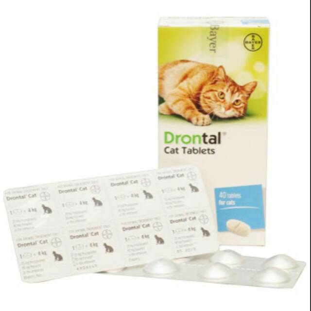 Drontal plus hot sale feline