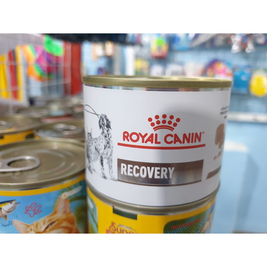 Kandungan royal outlet canin recovery