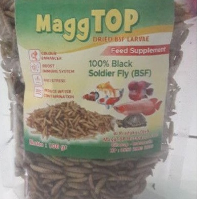 Jual GOMAGO Dried Maggot Kering BSF Kualitas Premium Grade A WHITE - 100gr  - Kab. Tangerang - Gomagoid
