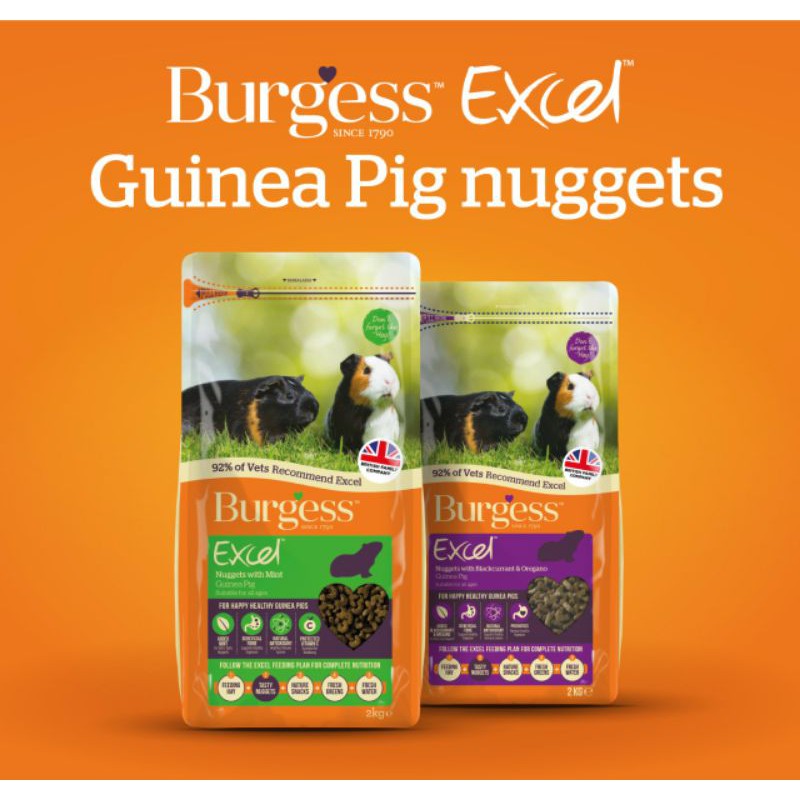 Burgess excel guinea clearance pig