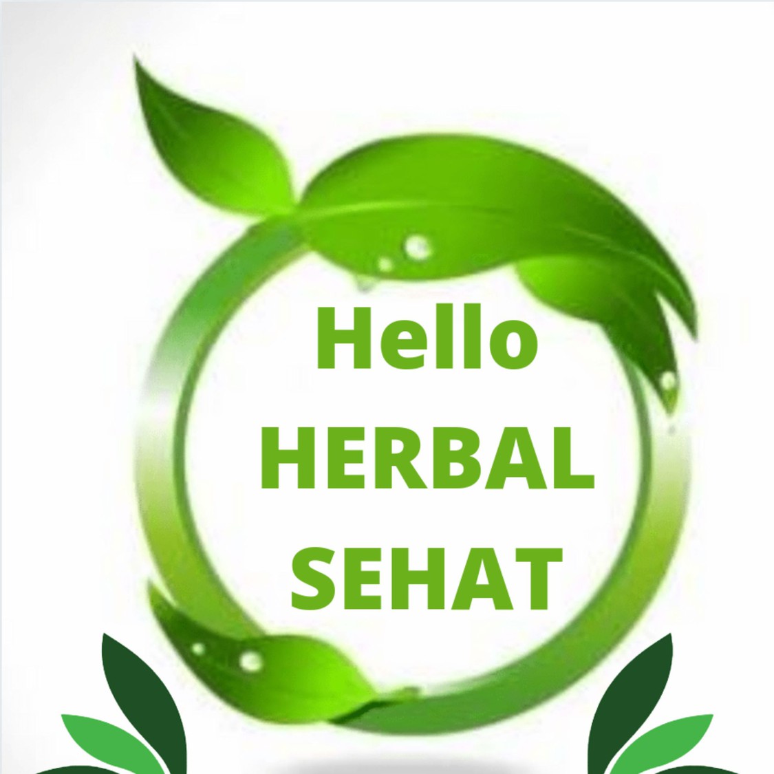 Produk Hello Herbal Sehat | Shopee Indonesia