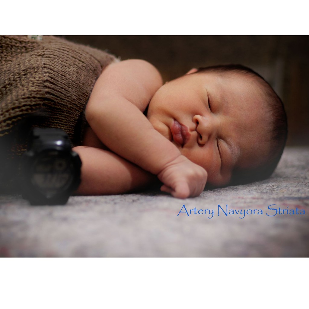 Produk tokonya siapa tadiya Shopee Indonesia