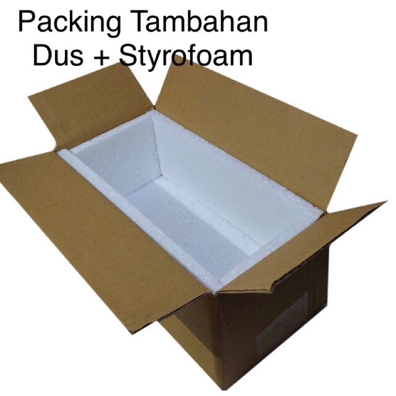 Packing styrofoam 2024