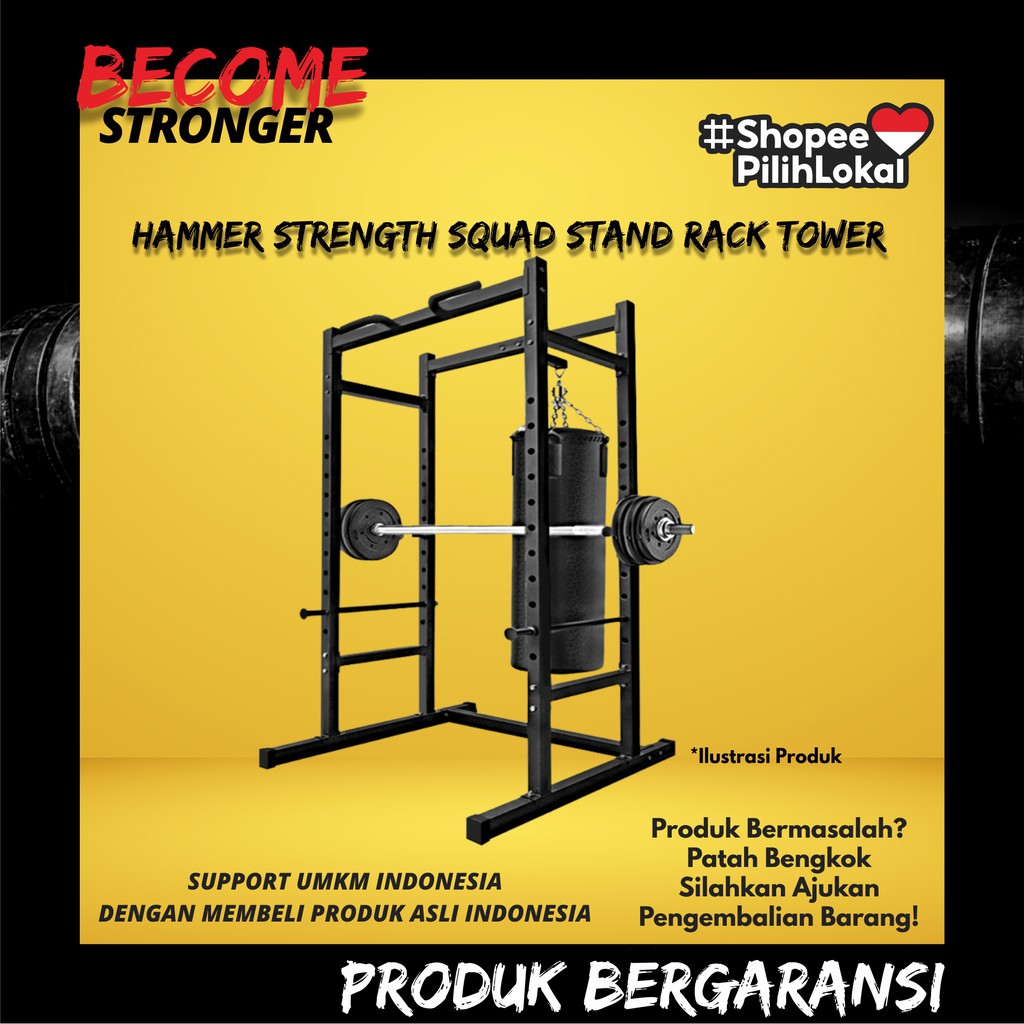 Hammer strength power tower hot sale