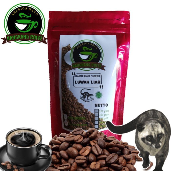 Jual KOPI LUWAK LIAR ACEH GAYO 100 GRAM (BUBUK DAN BIJI) | Shopee Indonesia