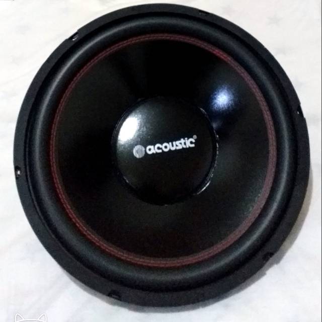 Speaker acoustic sale 12 inch