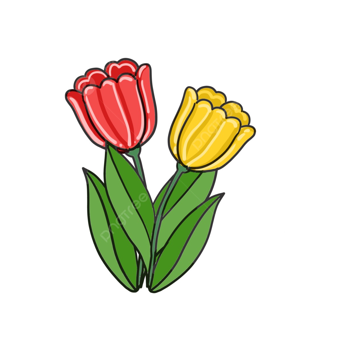 Produk Tulip Aksesoris | Shopee Indonesia