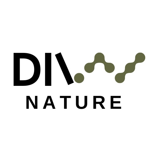 Produk DIVV ID | Shopee Indonesia