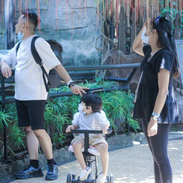 Produk venusita | Shopee Indonesia