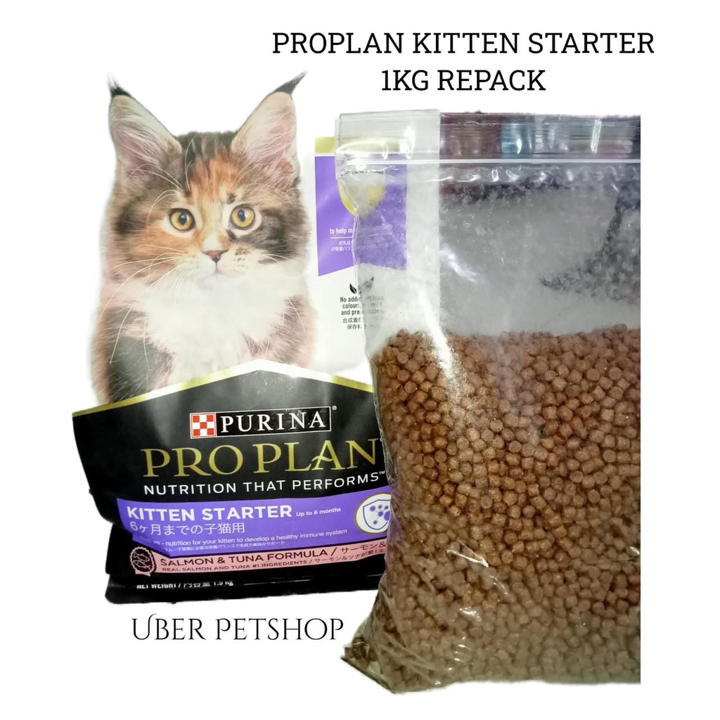 Harga pro outlet plan kitten repack