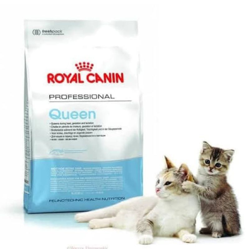 Royal canin store queen cat food