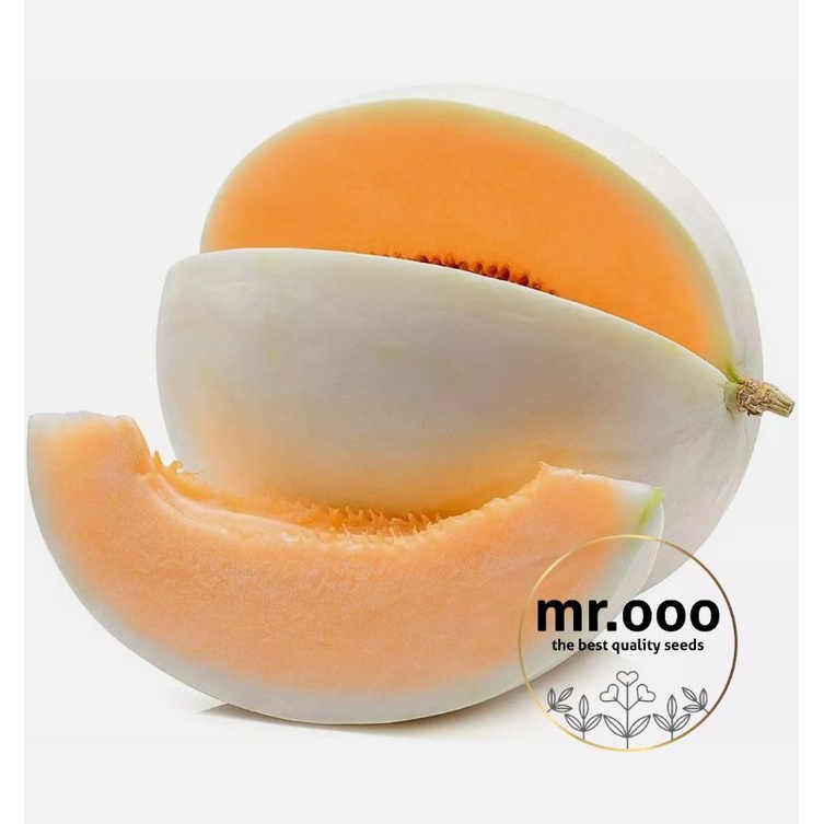 Melon, Honeydew Orangeflesh