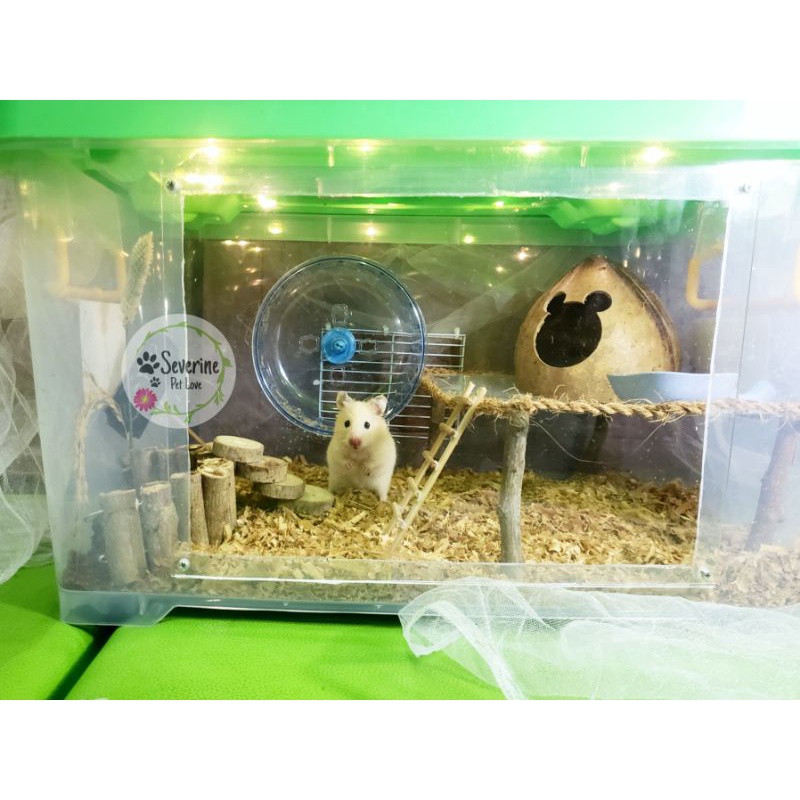 Box hamster store