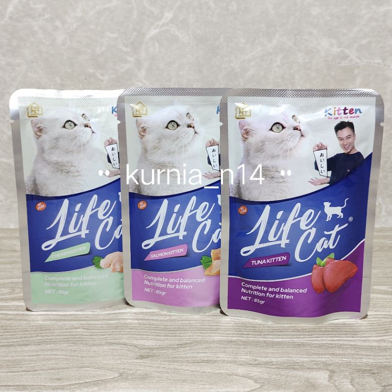 Wet food outlet untuk kitten