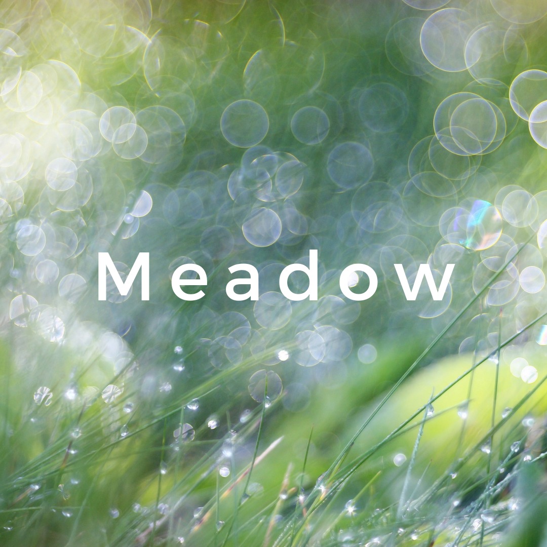 Produk Meadow.online | Shopee Indonesia