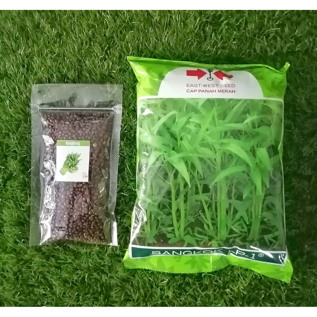 Jual 3000 Biji - Benih Kangkung BANGKOK LP-1 - Bibit Kangkung Darat /  HIDROPONIK | Shopee Indonesia