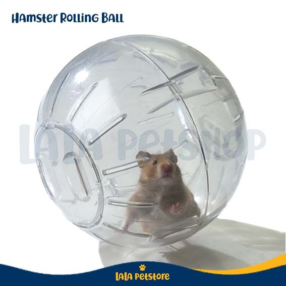 Hamster best sale ball shopee