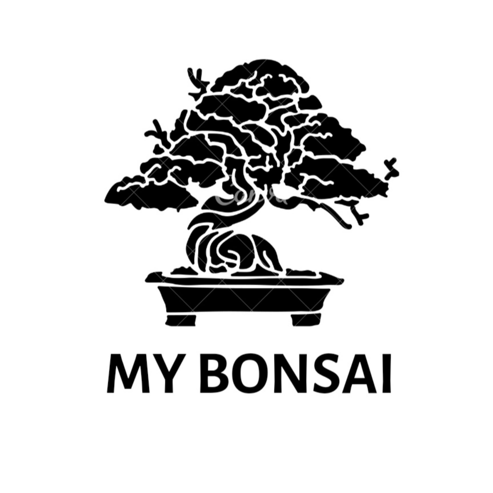 Produk MY BONSAI Shopee Indonesia